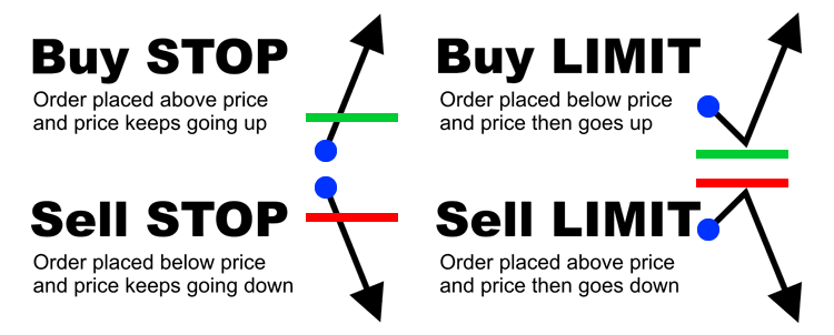 Buy and Sell Orders